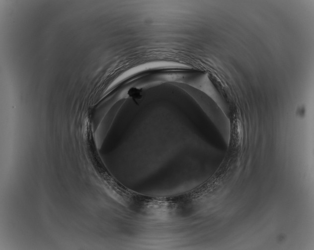 X0000096160227200801181231