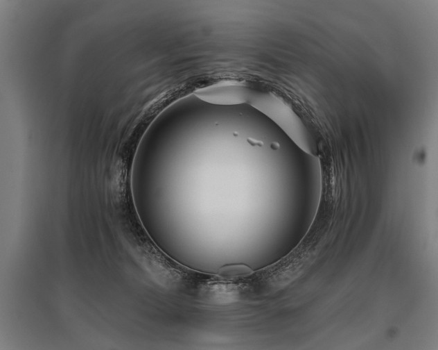 X0000096160228200801181231