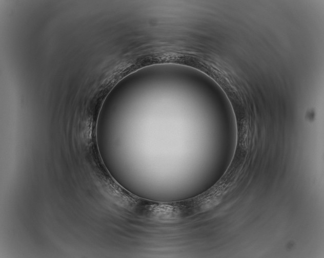 X0000096160230200801181231