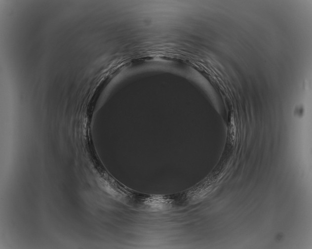 X0000096160231200801181231