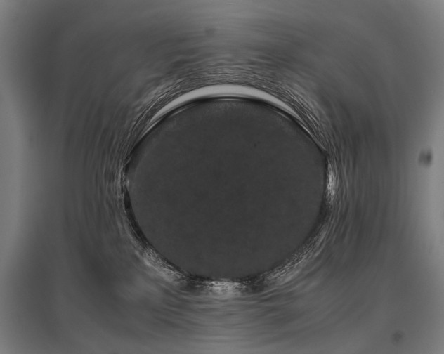 X0000096160233200801181231