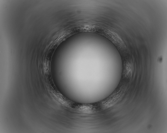 X0000096160236200801181231