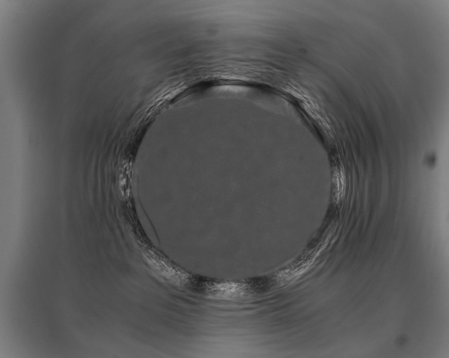 X0000096160237200801181231