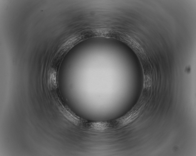 X0000096160238200801181231