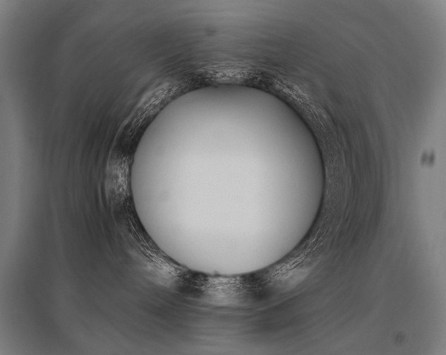 X0000096160240200801181231