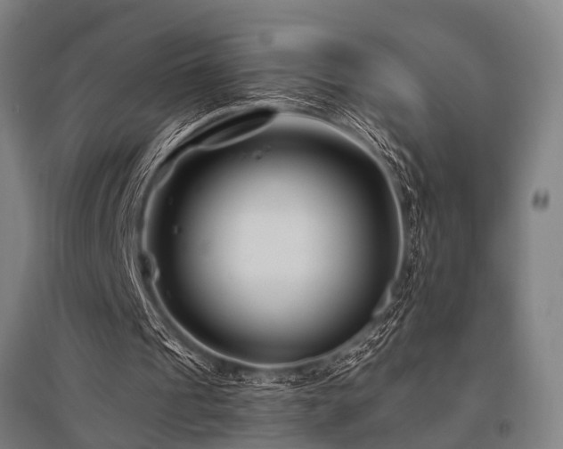 X0000096160241200801181231