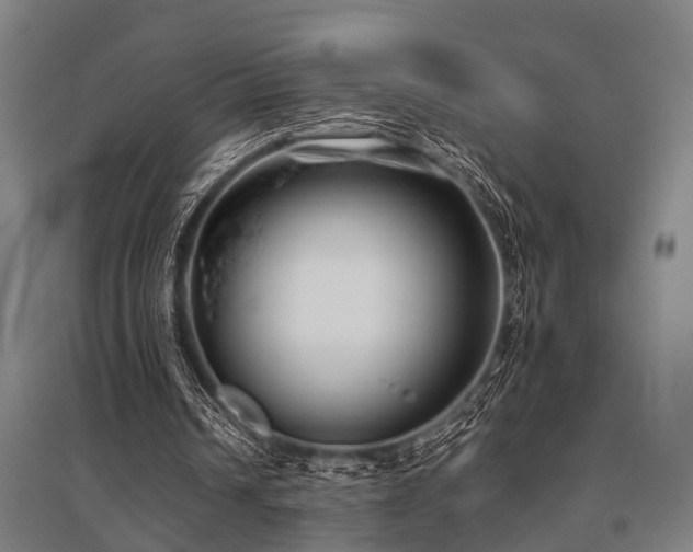 X0000096160242200801181231