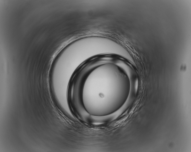 X0000096160244200801181231