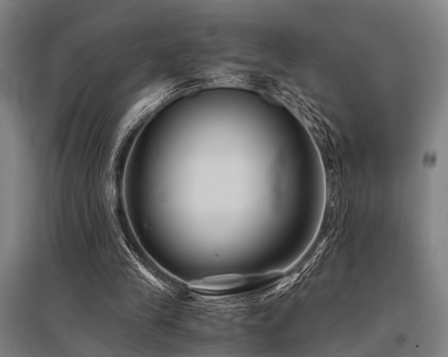 X0000096160245200801181231