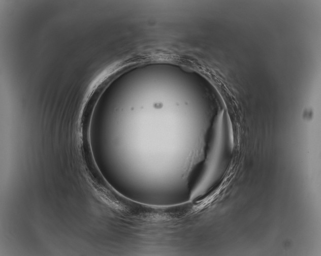 X0000096160246200801181231
