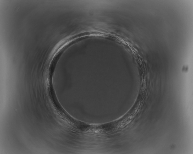 X0000096160247200801181231