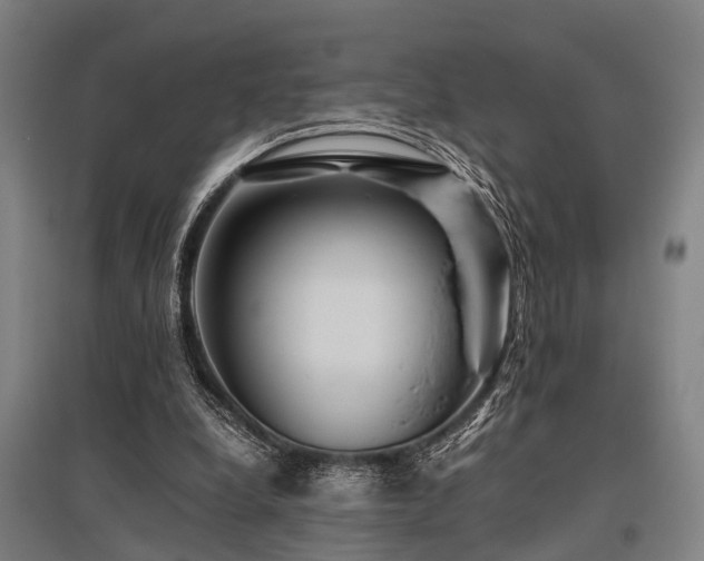X0000096160248200801181231