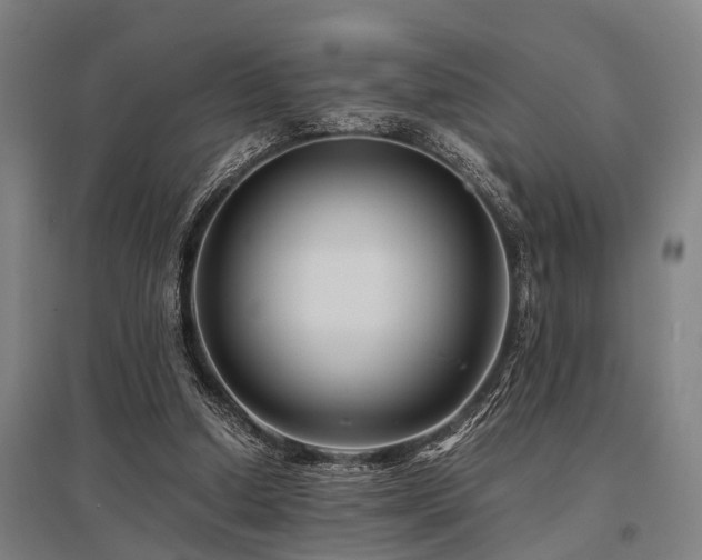 X0000096160250200801181231