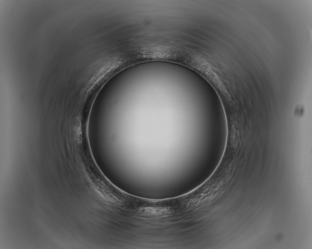 X0000096160251200801181231
