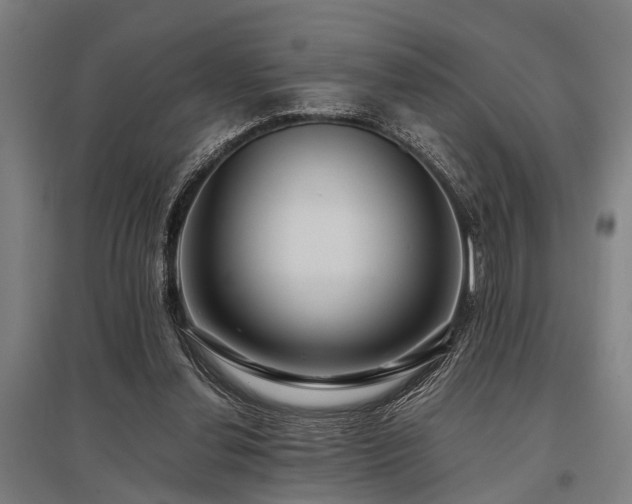X0000096160252200801181231