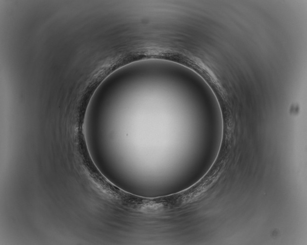 X0000096160257200801181231