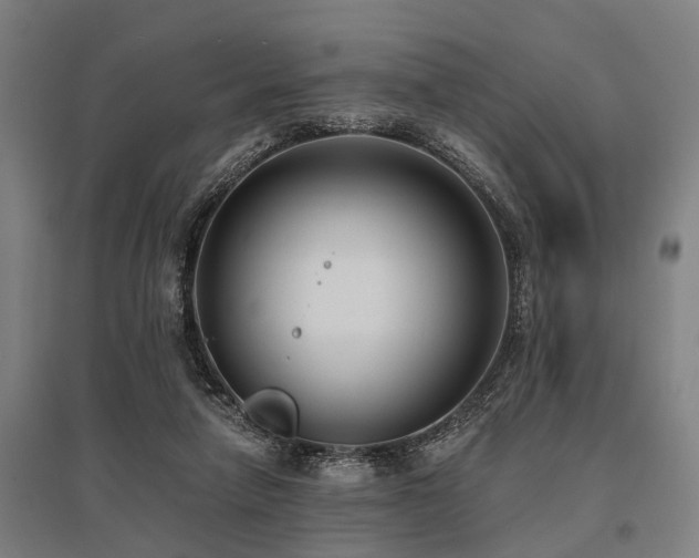 X0000096160258200801181231