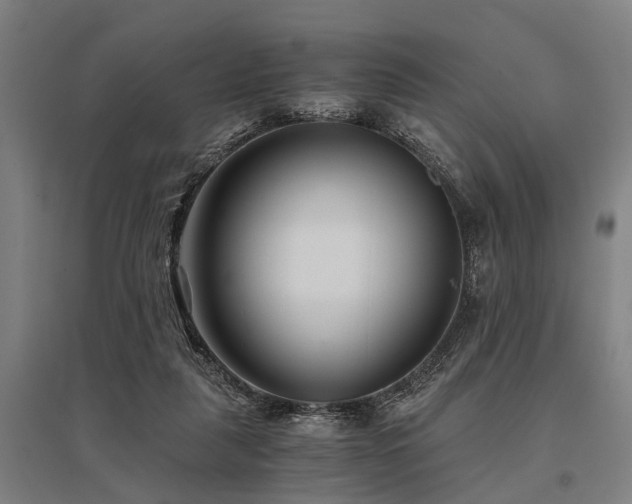 X0000096160259200801181231