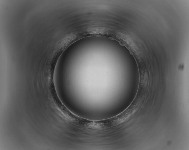 X0000096160261200801181231