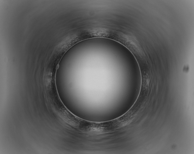 X0000096160263200801181231