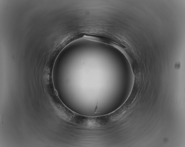 X0000096160264200801181231