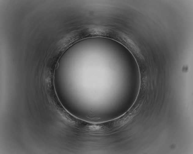 X0000096160265200801181231