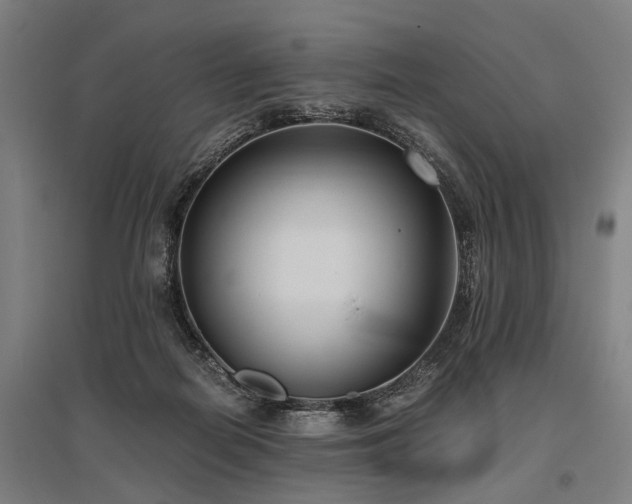 X0000096160266200801181231