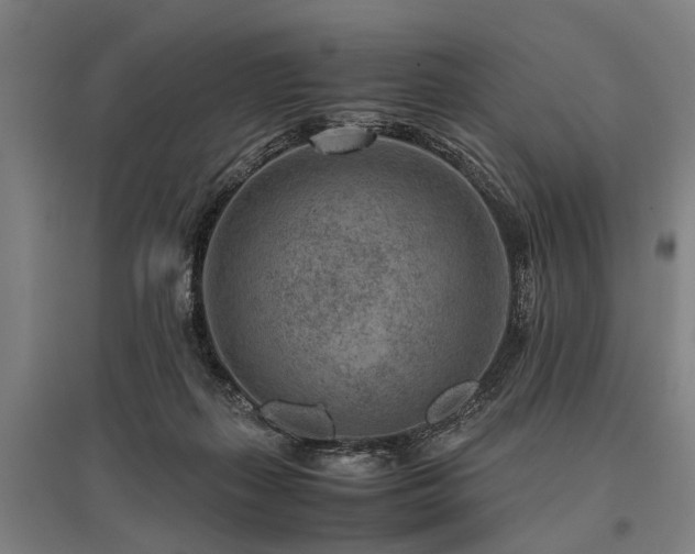 X0000096160267200801181231