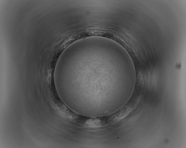 X0000096160271200801181231
