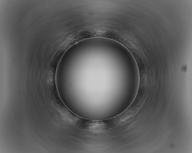 X0000096160274200801181231