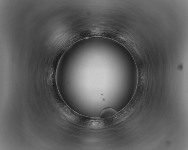 X0000096160275200801181231