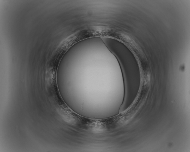 X0000096160276200801181231