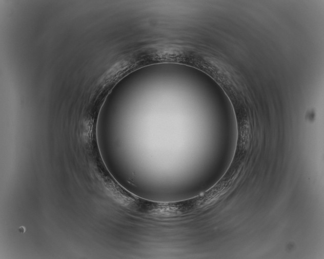 X0000096160278200801181231