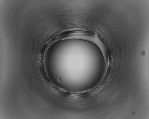 X0000096160280200801181231