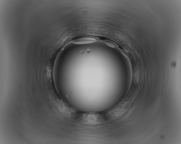 X0000096160282200801181231