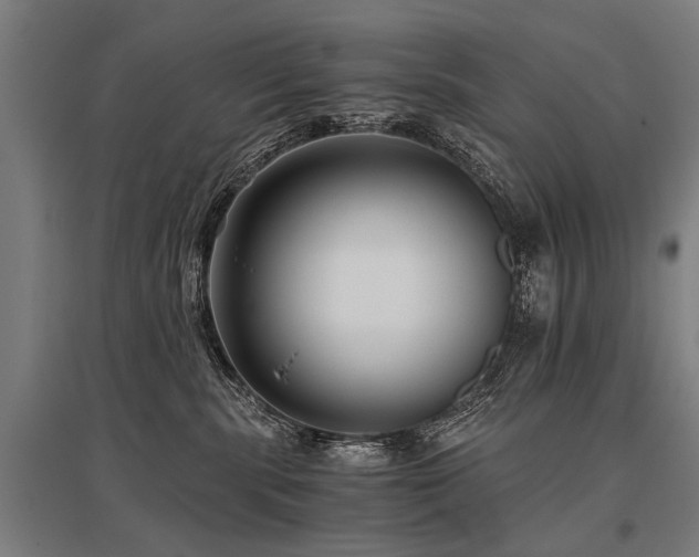 X0000096160283200801181231