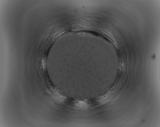 X0000096160285200801181231