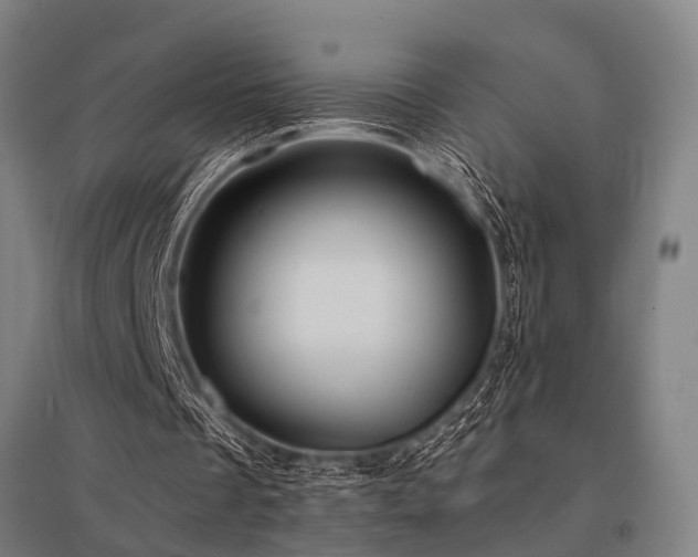 X0000096160289200801181231