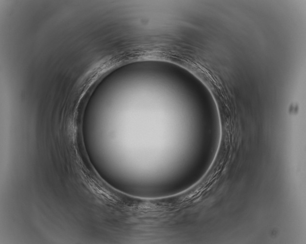 X0000096160290200801181231