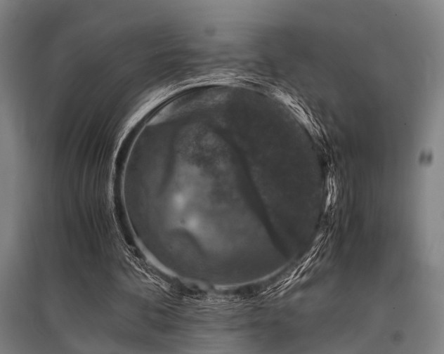 X0000096160292200801181231