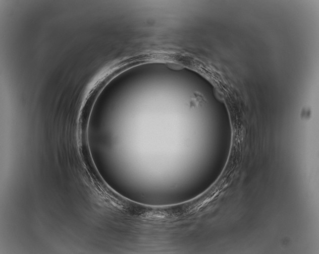 X0000096160294200801181231
