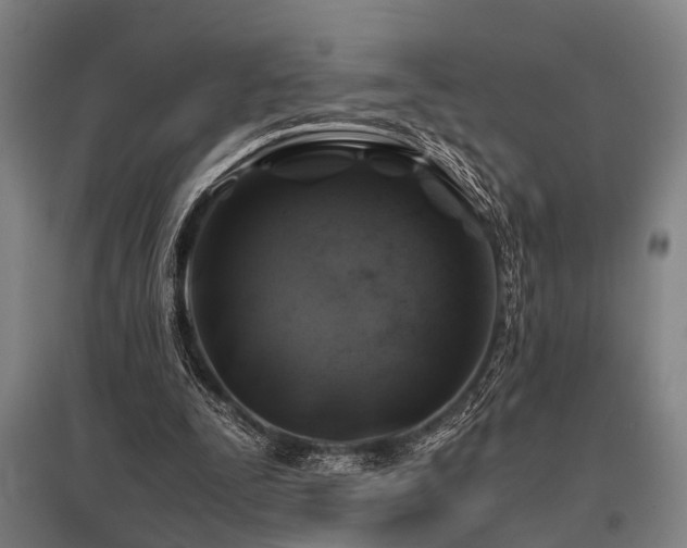 X0000096160295200801181230