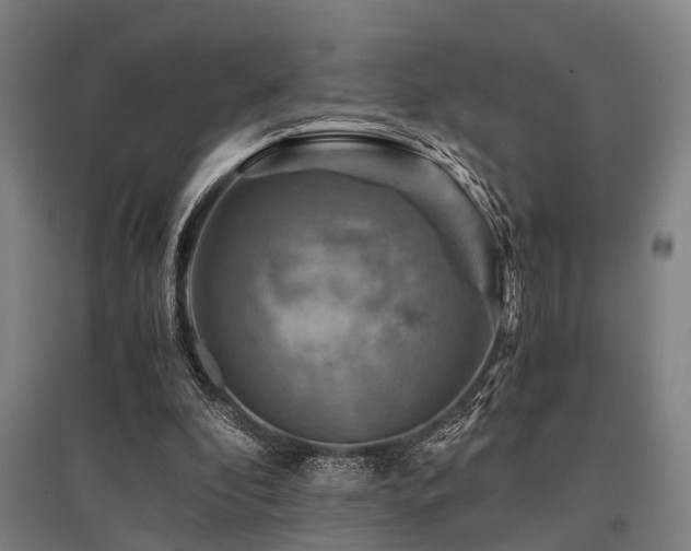 X0000096160296200801181230