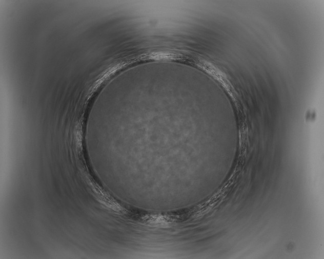 X0000096160297200801181230