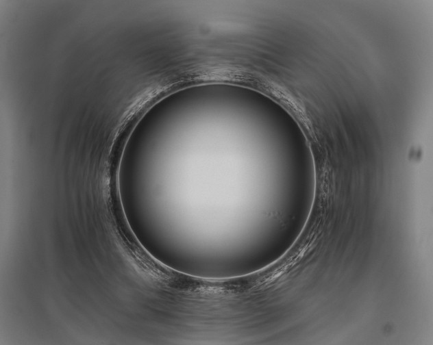 X0000096160298200801181230