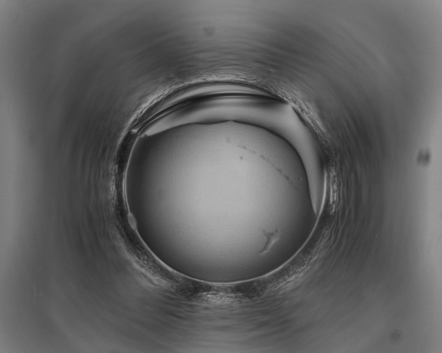 X0000096160300200801181230