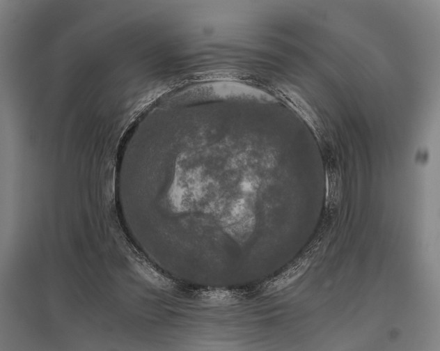 X0000096160301200801181230