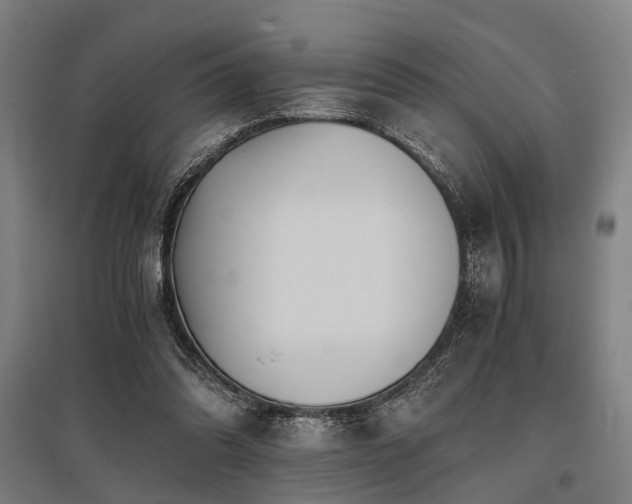 X0000096160302200801181230