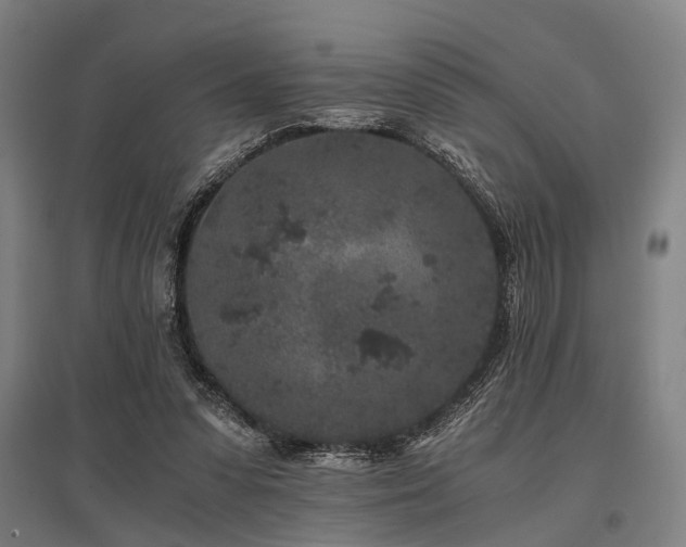 X0000096160303200801181230