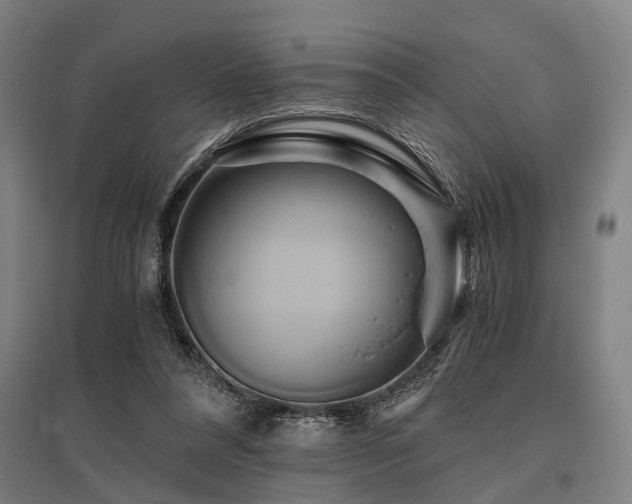 X0000096160304200801181230